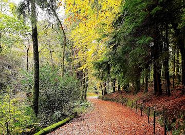ireland/the-kerry-way/attraction/cloghereen-pool-wood-nature-trails