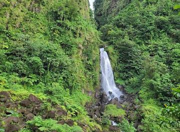 dominica/roseau/attraction/papillote-tropical-gardens