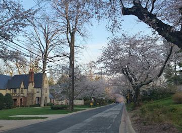 maryland/bethesda/attraction/little-falls-stream-valley-park