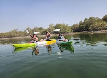 united-arab-emirates/abu-dhabi/attraction/mangrove-marine-national-park