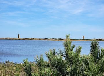 delaware/delaware-seashore-state-park/attraction/gordons-pond-state-park-area