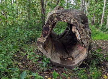 vermont/montpelier/attraction/blanchard-park