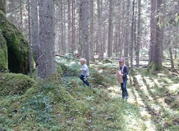 sweden/orebro/attraction/mantorpsskogen