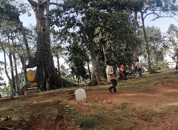 uganda/lango/attraction/nakayima-tree-shrine