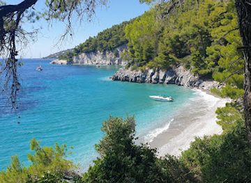 greece/sporades/attraction/ftelia-beach