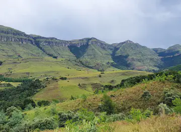 Drakensberg Canopy Tour