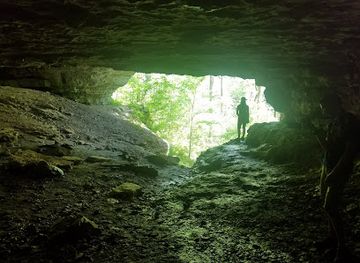 kentucky/red-river-gorge-geological-area/attraction/moonshiners-arch