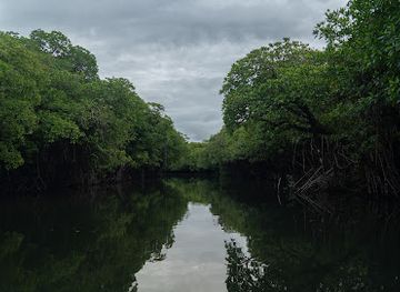 palau/ngeremdiu/attraction/orsoulkesol-waterfall