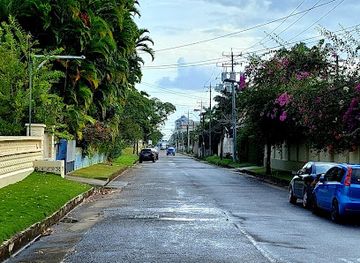 trinidad-and-tobago/port-of-spain/attraction/wild-flower-park