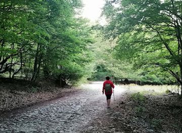 italy/abruzzo-national-park/attraction/faggeta-vetusta-coppo-del-principe