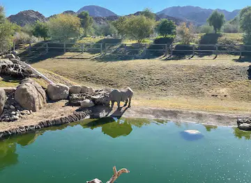 The Living Desert Zoo and Gardens