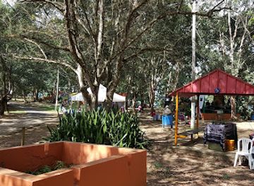 puerto-rico/bayamon/attraction/parque-forestal-de-bayamon