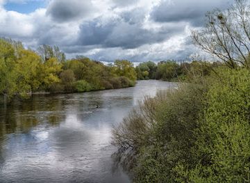 ireland/limerick/attraction/the-living-bridge