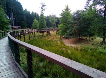 czechia/karlovy-vary/attraction/wildgehege-st-linhart