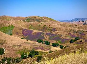 california/burbank/attraction/cheeseboro-palo-comado-canyon