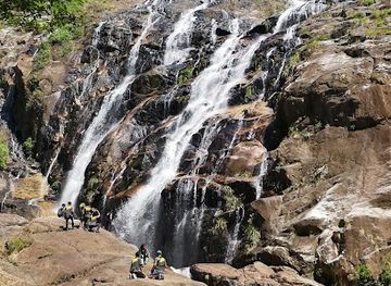 malaysia/terengganu/attraction/hutan-lipur-chemerong-tropical-forest