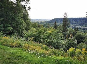 latvia/sigulda/attraction/pansijas-lakstigala-vesturiskais-tornis