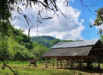 thailand/chiang-rai/attraction/elephant-peace-project