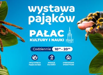 poland/warsaw/attraction/wystawa-pajakow-warszawa