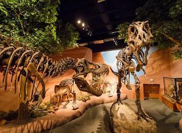 utah/park-city/attraction/mountain-america-museum-of-ancient-life-at-thanksgiving-point