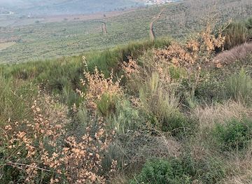 portugal/tras-os-montes/attraction/serra-do-reboredo