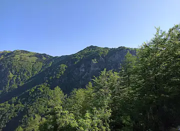 Vrh Pasjih pečin