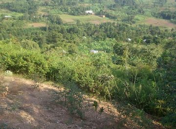 uganda/mbale/attraction/mt-elgon-culture-and-history-museum