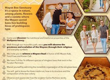 mexico/playa-del-carmen/attraction/mayan-bee-sanctuary