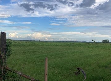 cambodia/kratie/attraction/cheng-meng-chulung