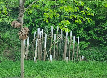 belgium/condroz/attraction/sentiers-d-art-conjonction