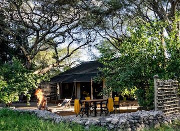 tanzania/tarangire-national-park/attraction/forest-chem-chem