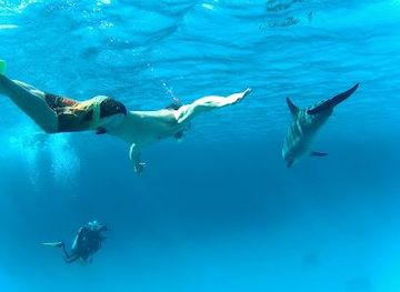 egypt/el-gouna/attraction/dolphin-house-hurghada