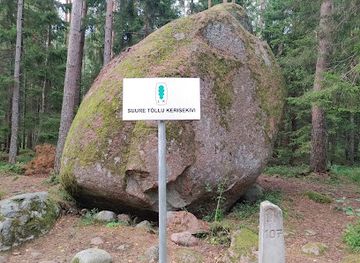 estonia/kuressaare-castle/attraction/suure-tollu-kerisekivi