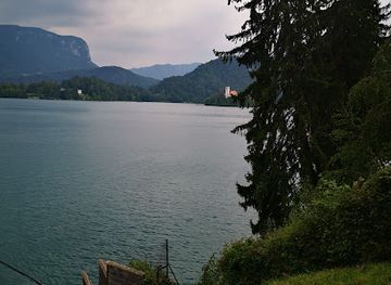 slovenia/bled/attraction/villa-rikli