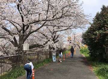 japan/nara/attraction/cherry-trees-on-the-saho-river