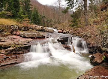 serbia/stara-planina-mountain/attraction/strict-reserve-nature-arbinje