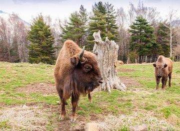 france/lourdes/attraction/faunistico-lacuniacha-park