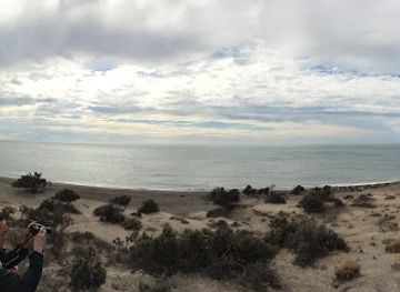 argentina/southern-patagonia/attraction/valdes-peninsula