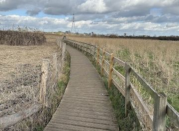 united-kingdom/london/attraction/walthamstow-marshes