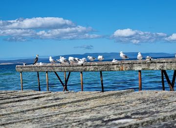 australia/tasman-peninsula/attraction/gypsy-bay