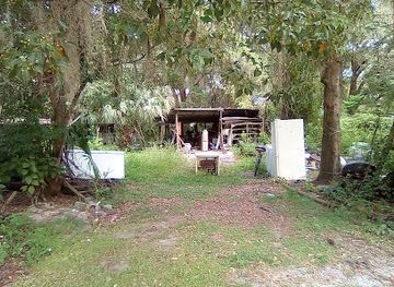 florida/juniper-springs-recreation-area/attraction/ocala-wildlife-management-area
