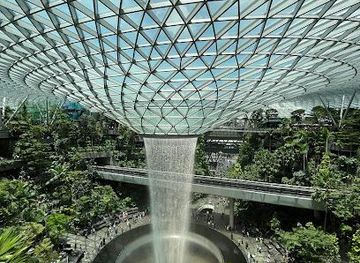 singapore/bukit-timah-nature-reserve/attraction/shiseido-forest-valley-jewel-changi-airport