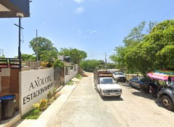 mexico/puerto-escondido/attraction/el-estero