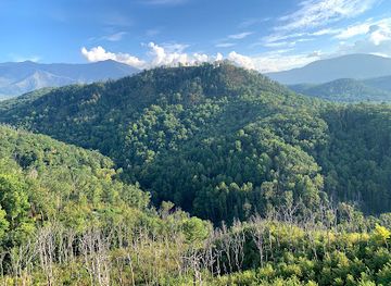 tennessee/great-smoky-mountains-national-park/attraction/anakeesta-pictures