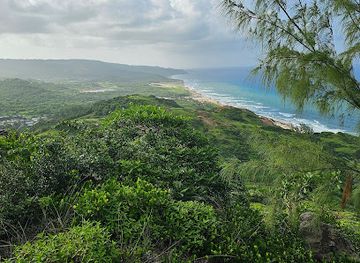barbados/saint-joseph/attraction/chalky-mount-hike-start-parking