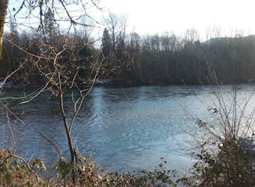 washington/northern-cascades/attraction/bald-eagle-interpretive-center