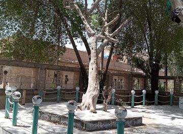 iraq/mesopotamia/attraction/the-tree-of-knowledge-adam-s-tree-garden