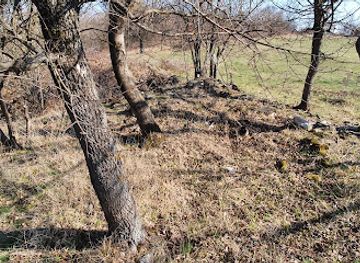 romania/hunedoara/attraction/ruinele-hanului