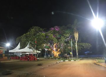 kenya/nairobi/attraction/iconic-fig-tree-westlands