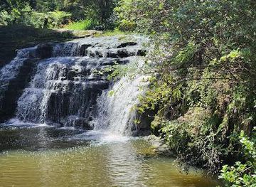 new-zealand/auckland/attraction/lucas-creek-waterfall